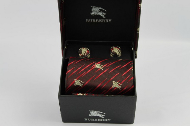 Burberry Ties 51